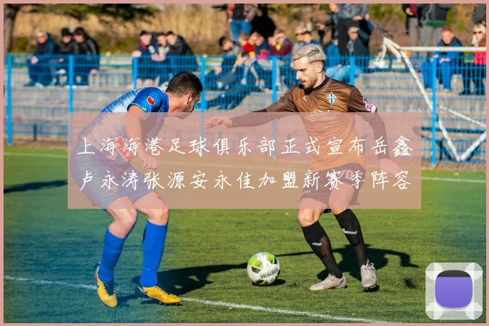 上海海港足球俱乐部正式宣布岳鑫卢永涛张源安永佳加盟新赛季阵容更新