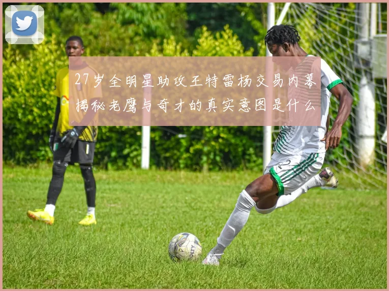 27岁全明星助攻王特雷杨交易内幕揭秘老鹰与奇才的真实意图是什么