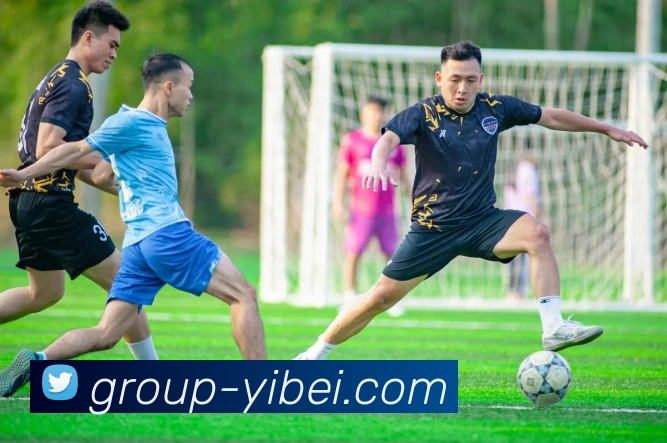 易倍体育平台生态图